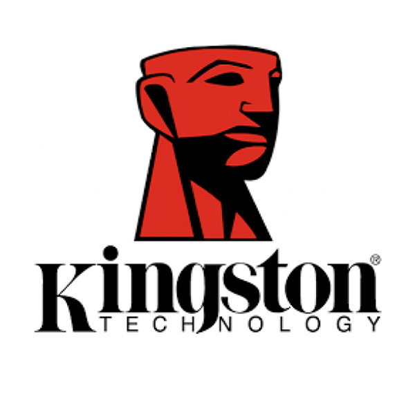 logo kingstone